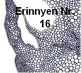 Erinnyen Nr. 16 Titelbild